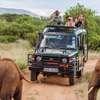 3 Days Best of Masai Mara Safari thumb 5