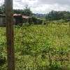 Prime Residential plot for sale in kikuyu, Gikambura thumb 4