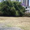 Commercial Land in Kilimani thumb 15