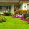 Best Landscaping & Gardening Services-Nakuru Experts thumb 0