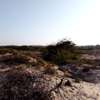 6 Acres beachfront land  for sale in Mambrui,Malindi thumb 5