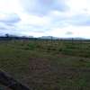 Tarmac plot at Mwariki C, Nakuru-Mutaita bypass thumb 5