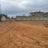 50 by100 Prime Piece of Land in Tuala Area in Ongata Rongai thumb 4