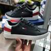 Tommy Hilfiger Sneakers size 40-45 thumb 0