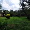 Land at Lavington thumb 15