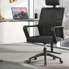 Office Chair: Breathable & Cool Mesh Corporate Seat thumb 0