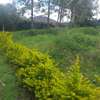 Lovely One Eighth Plots in Ongata Rongai thumb 3