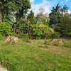 1 ac Residential Land in Riverside thumb 3