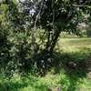 9 acre land for sale in Karen thumb 0