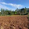 6,000 m² Land in Limuru thumb 5