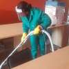 Professional cleaning services - Trusted Domestic workers & housekeepers thumb 0