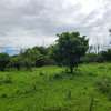Commercial Land in Mtwapa thumb 12
