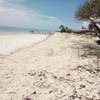20-Acre Beach Plot For Sale in Kikambala thumb 7