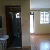 One Bedroom Apartment for Rent in Ruiru, Hilton thumb 0