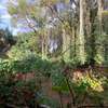1 ac Land in Lavington thumb 3