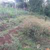 Lovely One Eighth Plot in Ngong thumb 13