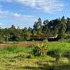 6,000 m² Land in Limuru thumb 18