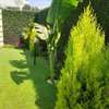 Yard and space landscaping for home and office thumb 3