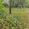 4 ac land for sale in Kilimani thumb 9