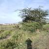 10 ac Land in Athi River thumb 1