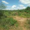 40 Acres of Agricultural Land Is For Sale In Makindu Town thumb 2