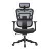 Office Chair; High Back Orthopedic Chair thumb 1
