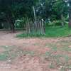 1 ACRE PRIME PLOT FOT SALE AT MSAMBWENI, KWALE thumb 14