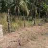 land for sale in vipingo thumb 10
