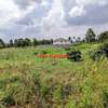 0.05 ha Residential Land at Lusigetti thumb 28