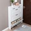 Modern Shoe Storage Cabinet thumb 6