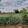 30 acres of land for sale in Makindu Makueni County thumb 2