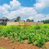 0.05 ha Residential Land at Kamangu thumb 8