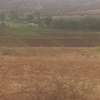 Several Parcels of Farm Land Available For Lease in Thika thumb 0
