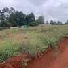 0.05 ac Land at Kikuyu thumb 5