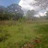 0.5 ac Residential Land in Karen thumb 2