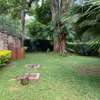 2 bedroom house available in lavington thumb 1