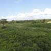1,012 m² Residential Land at Diani Beach Road thumb 28