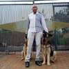 Professional Dog Trainers Nairobi-Find a Dog Trainer thumb 0