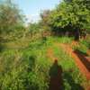 600 Acres For Sale in Mutha Region of Kitui County thumb 1