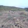 One Acre Of Land For Sale in Tinga / Oletepesi thumb 0