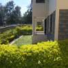 Lovely 3 BR Houses in Ngong thumb 1
