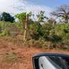 Plot for sale in diani thumb 1