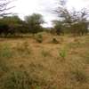 153 Acres of Land For Sale in Ngatateak - Namanga Rd thumb 9