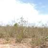 0.25 ac Residential Land at Diani Beach Road thumb 11