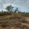 100 ac Commercial Land at Lungalunga thumb 4