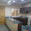 Kitchen Cupboards with Granite Tops & Renovations thumb 3