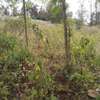 500 m² Residential Land in Ngong thumb 2