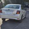 Toyota Axio WxB White hybrid 2018 thumb 10