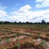 95 acres along Athi-River in Kibwezi Makueni County thumb 2