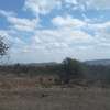 6 ac Land in Kiserian thumb 20